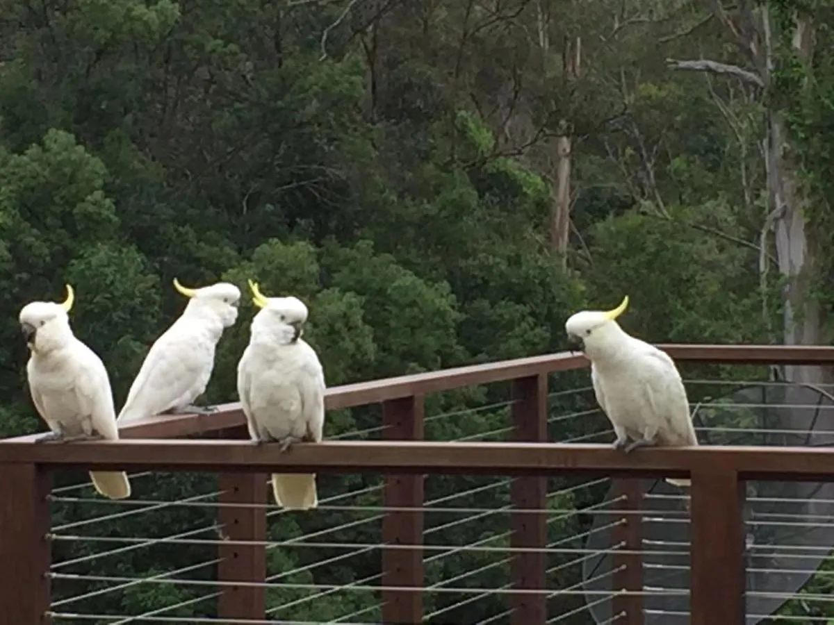 449 Villa Gold Coast Lodge